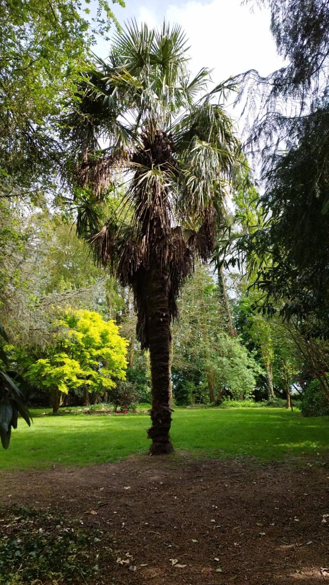 La Suite D'Anna Rohan Luaran gambar